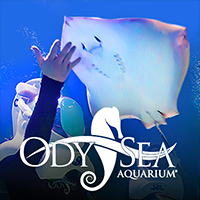 OdySea Aquarium Logo